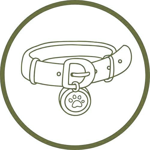 Icon Hundehalsband