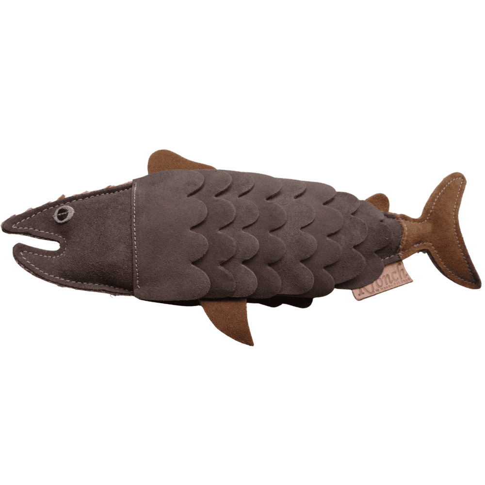 Nachhaltiges Hundespielzeug Fisch