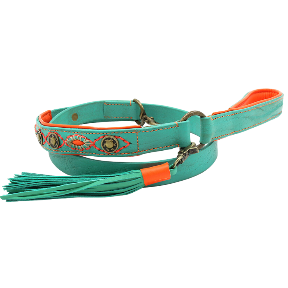 Hundeleine Urban Janis türkis von DWAM