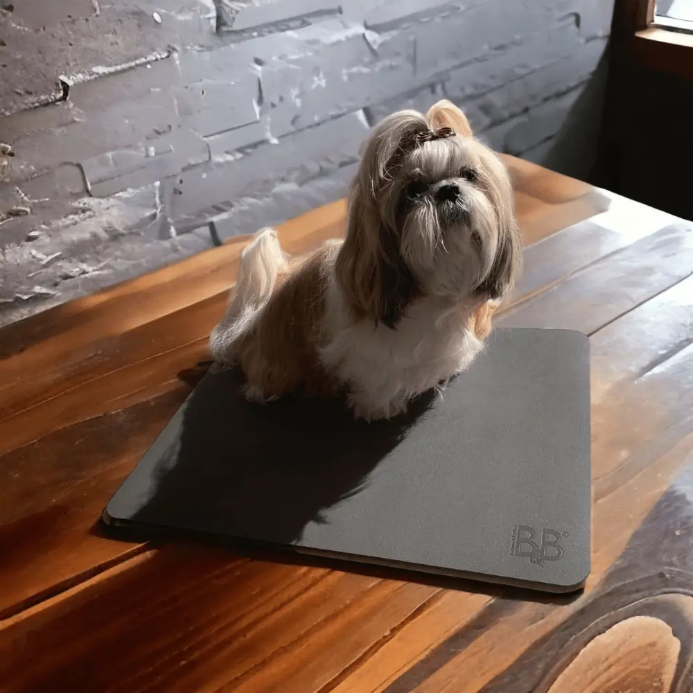 Hund sitzt auf Groomingmatte
