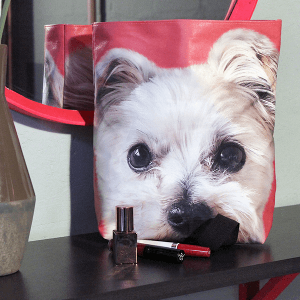 Kulturtasche Rexy im Einsatz