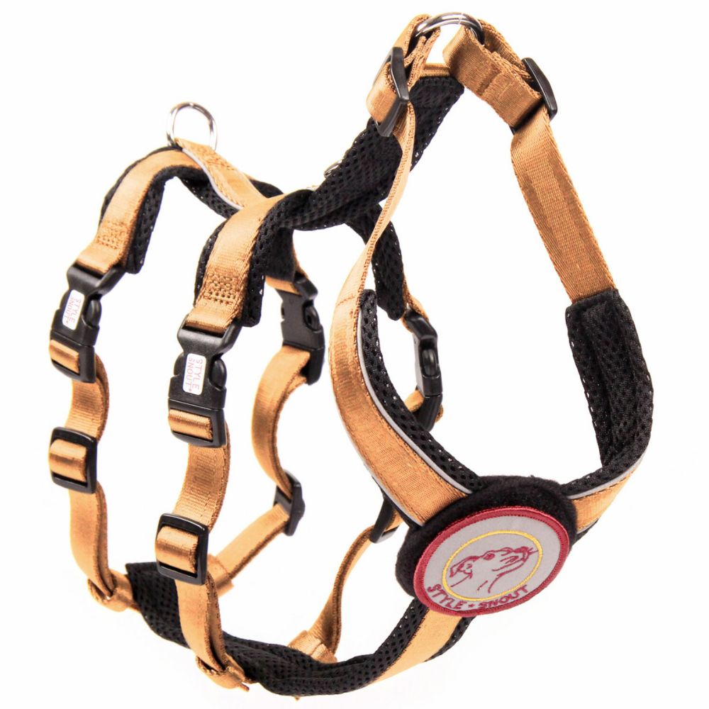 StyleSnout® Patch & Safe Sicherheitsgeschirr mit Sticker gold