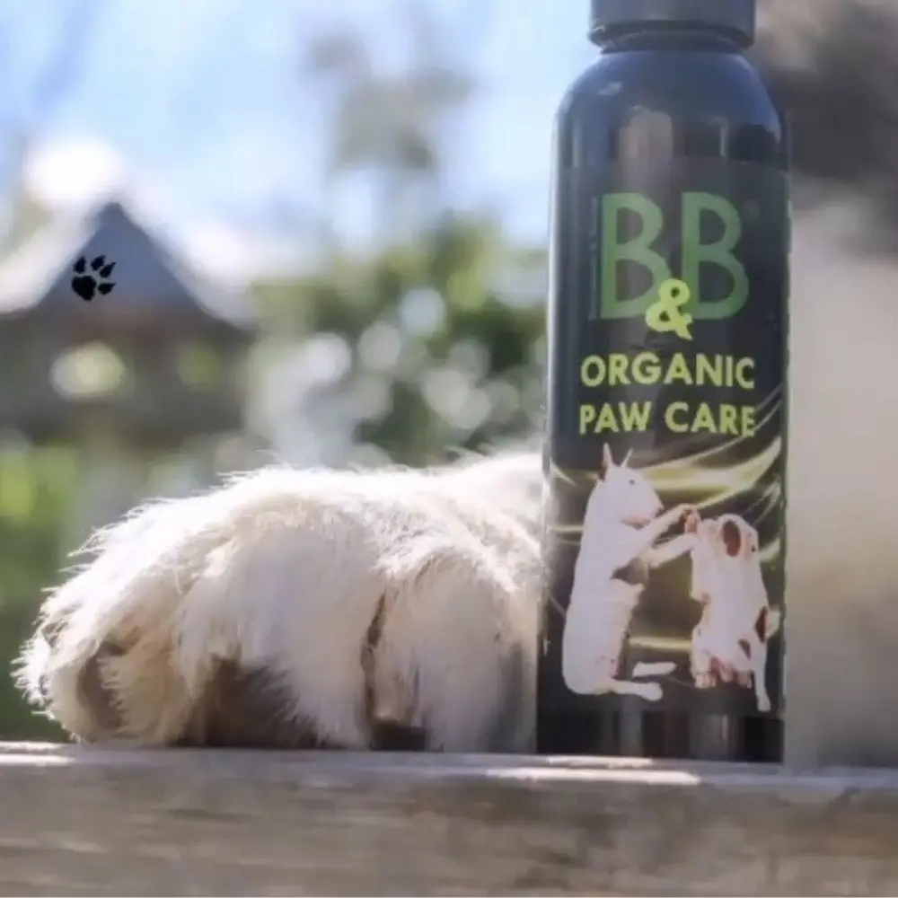 Pfotenpflege Paw Care Hundepfote mit Produkt