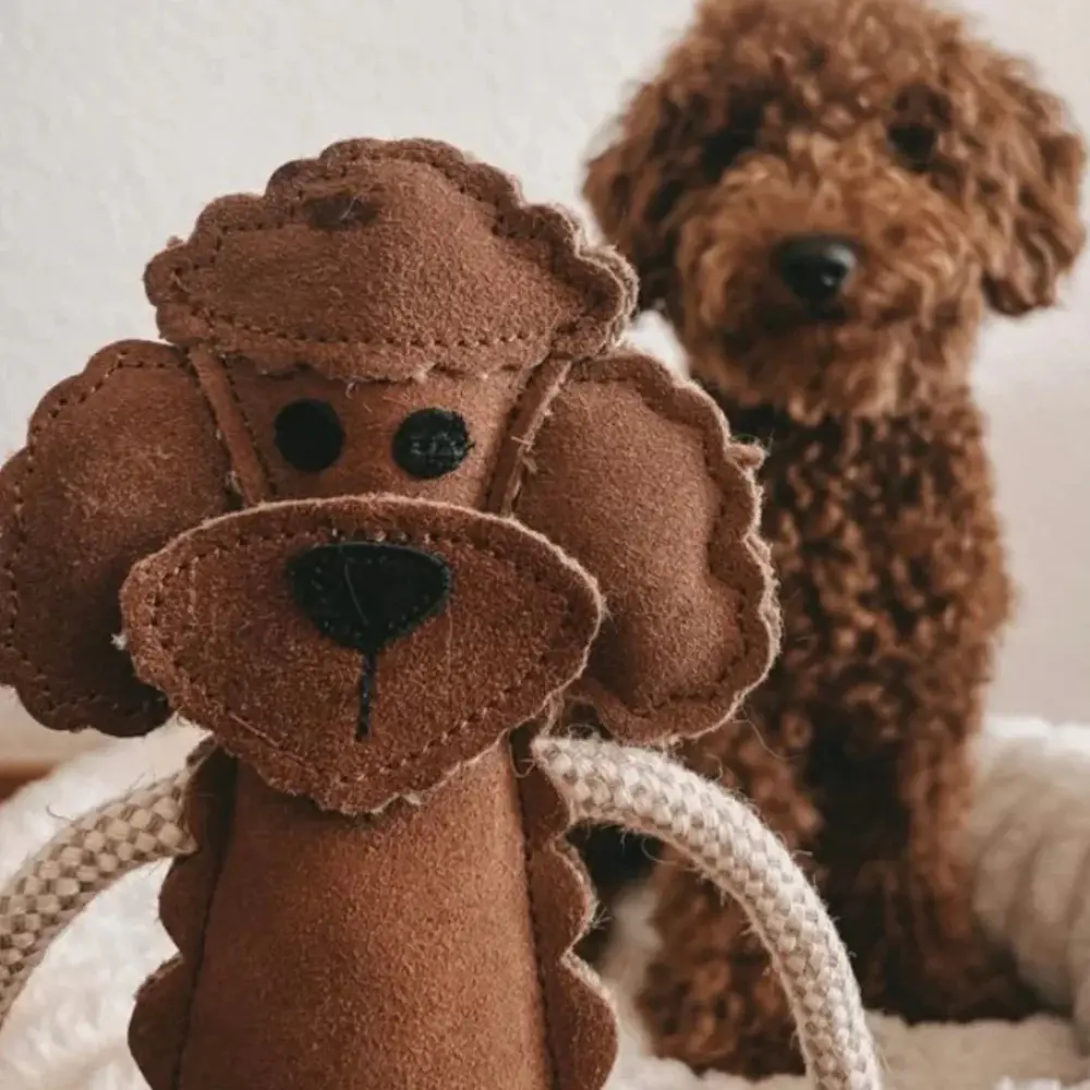 Nachhaltiges Hundespielzeug Piet Pudel Detailansicht