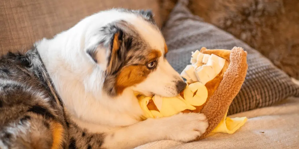 Hundespielzeug aus recycelten Stoffen