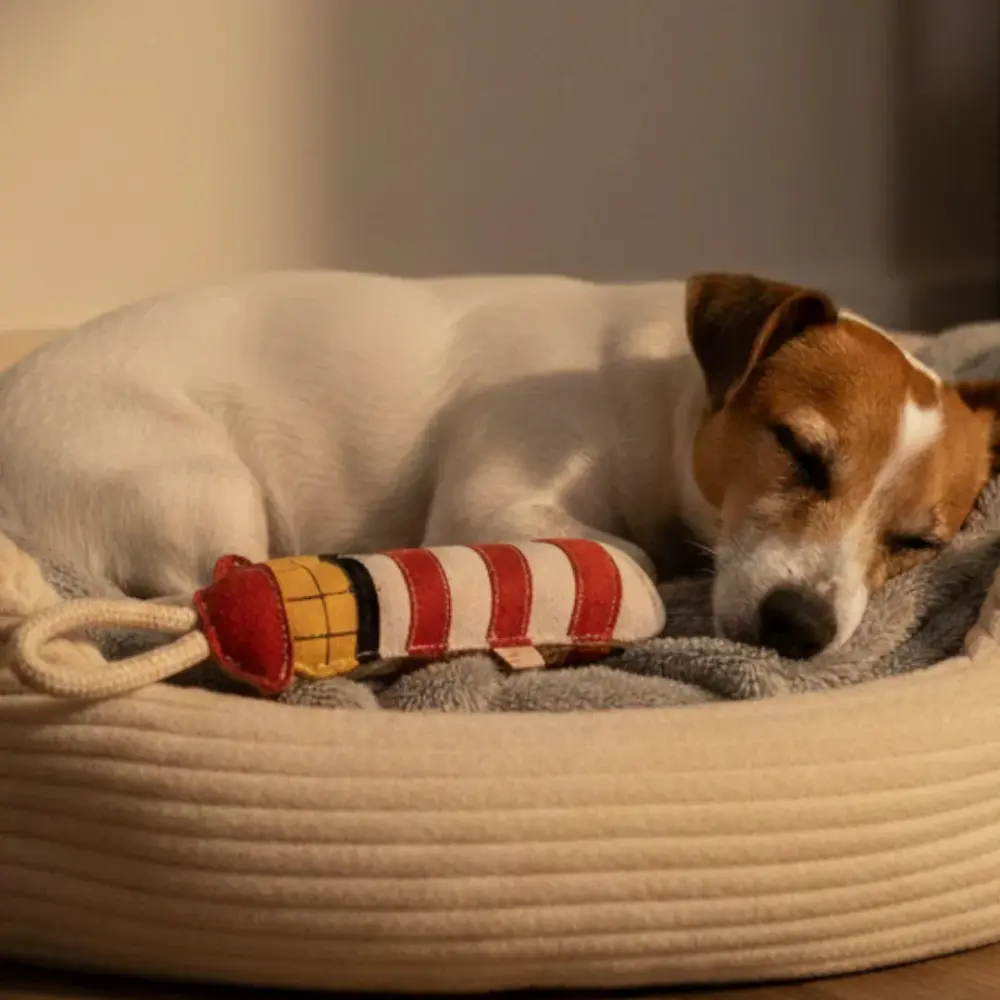 Nachhaltiges Hundespielzeug Lilly Leuchtturm mit Hund im Hundebett