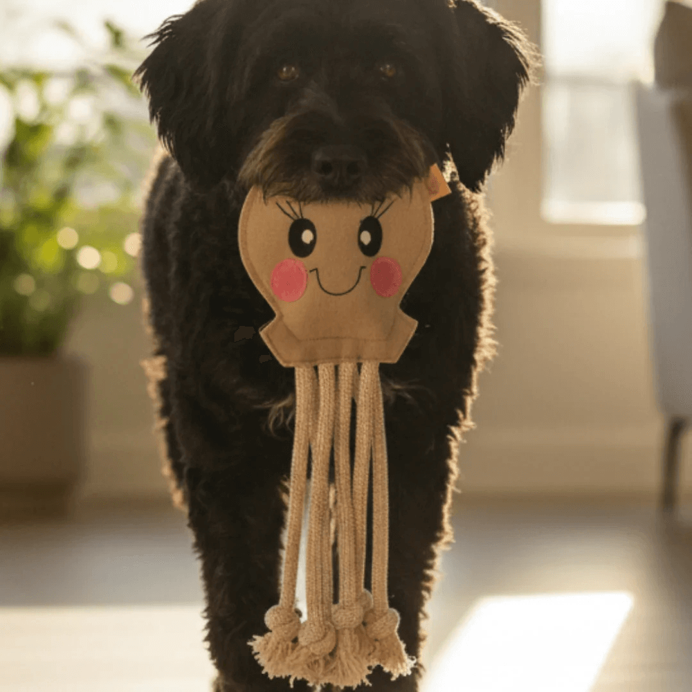 Hund mit nachhaltigem Hundespielzeug im Maul