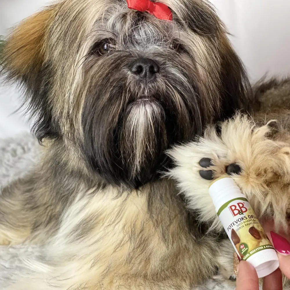 Pfotenwachs Potevaks Deluxe mit Shih Tzu
