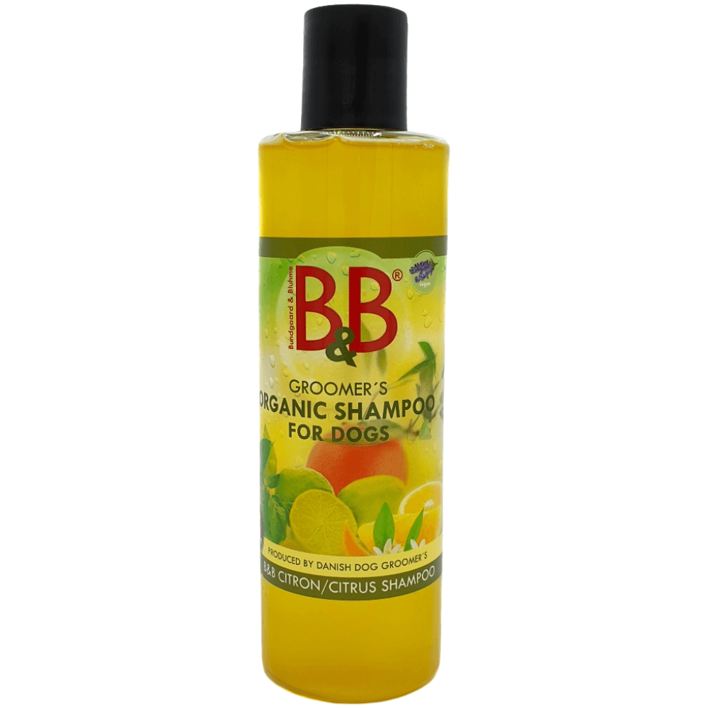 Hundeshampoo Citrus von B&B 250 ml