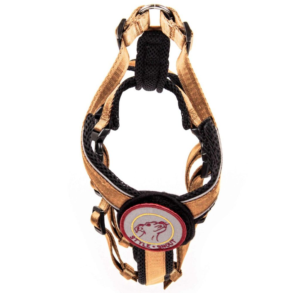 StyleSnout® Patch & Safe Sicherheitsgeschirr Vorderansicht gold