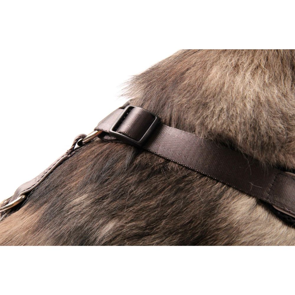 StyleSnout® Patch & Safe Sicherheitsgeschirr Halsansicht am Hund silber