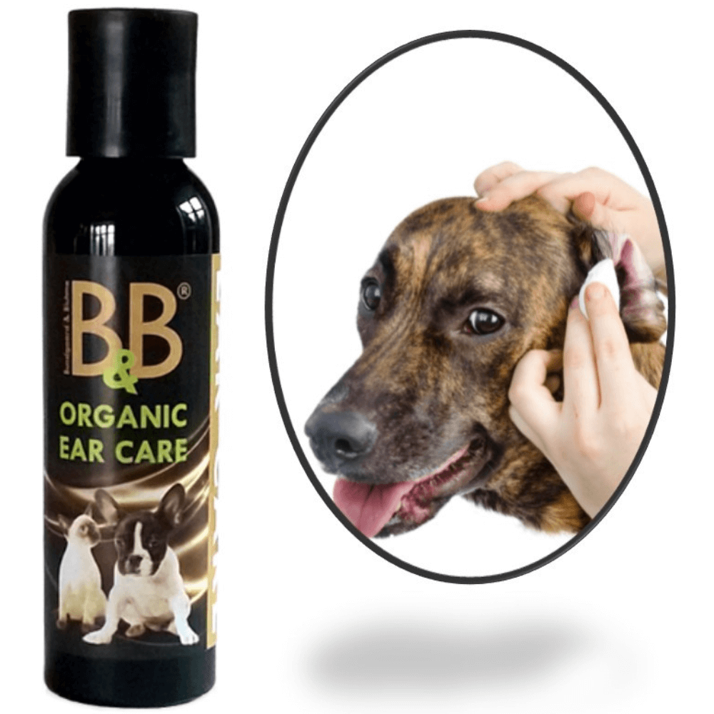 Ohrenpflege Ear Care für Hunde von B&B 100 ml mit Hund im Einsatz