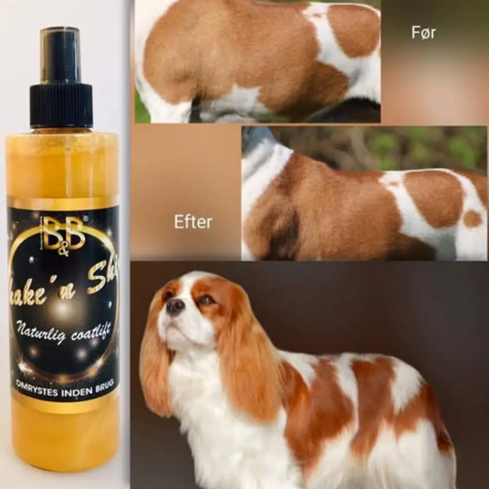 B&B Shake`n Shine Glanzspray