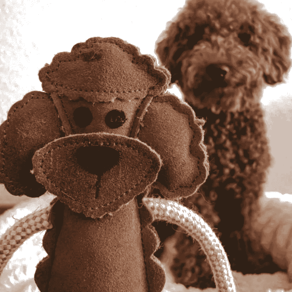 Nachhaltiges Hundespielzeug Piet Pudel Detailansicht