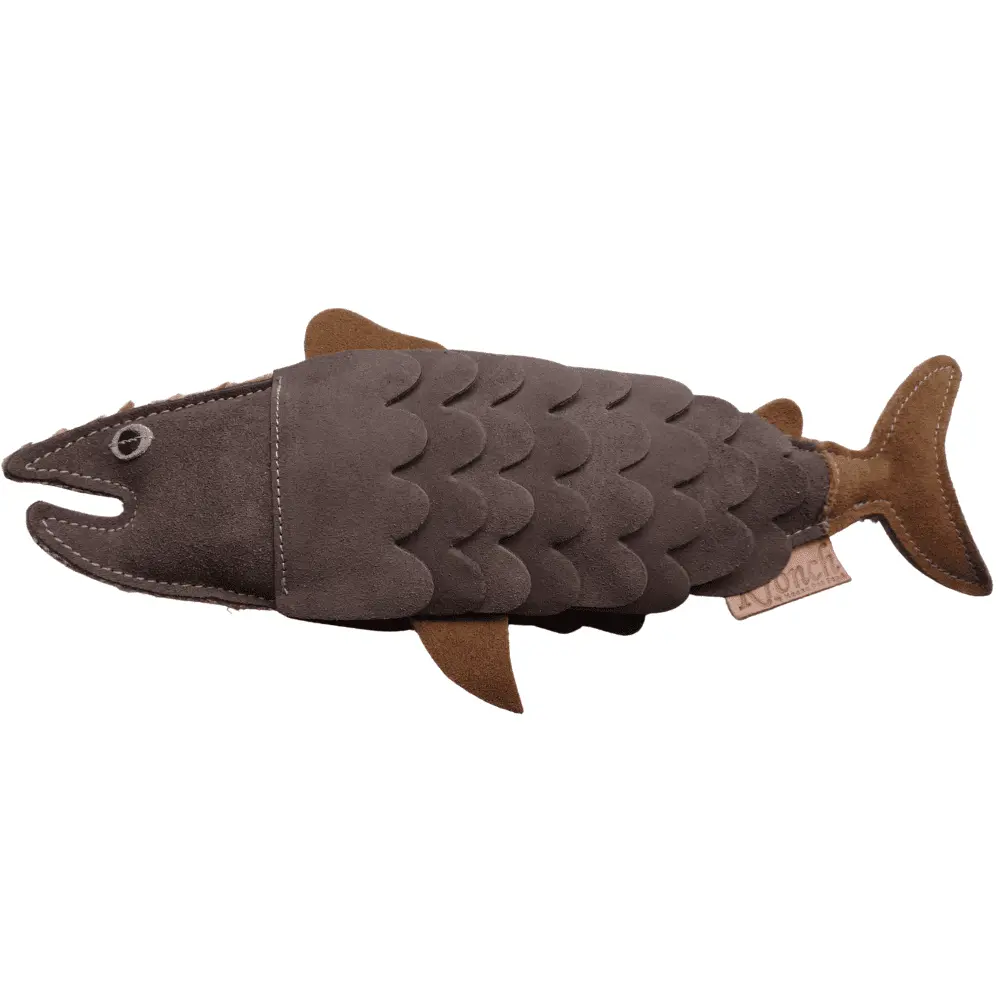 Nachhaltiges Hundespielzeug Fisch
