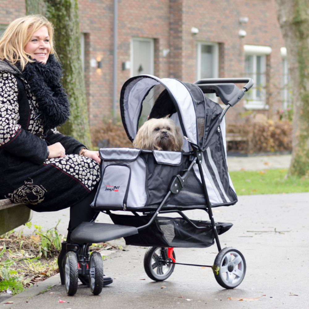 InnoPet All Terrain Hundebuggy schwarz silber im Einsatz mit Hund