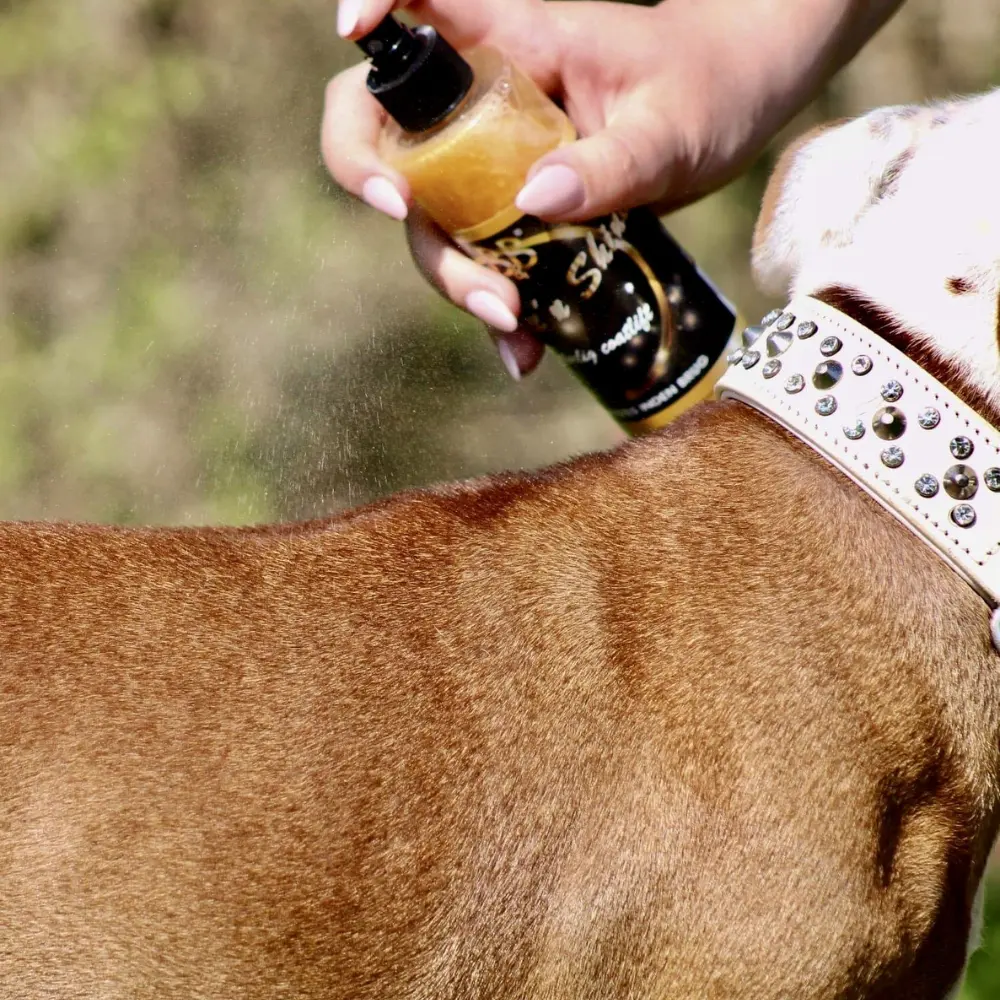 Finish-Spray Shake`n Shine mit Goldstaub in der Anwendung am Hund