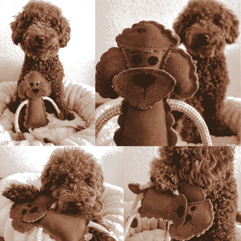 Nachhaltiges Hundespielzeug Piet Pudel braun