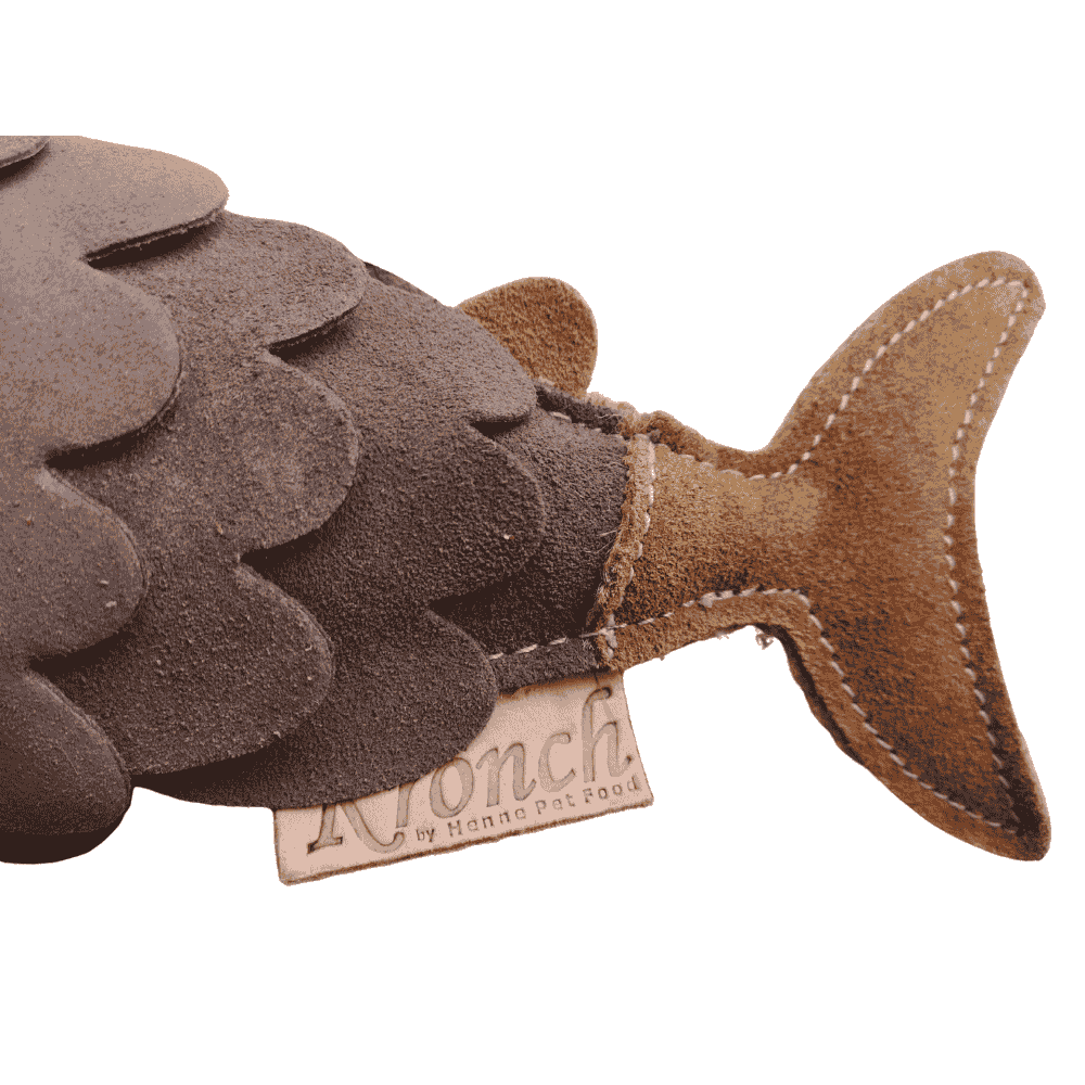 Nachhaltiges Hundespielzeug Fisch Schwanz