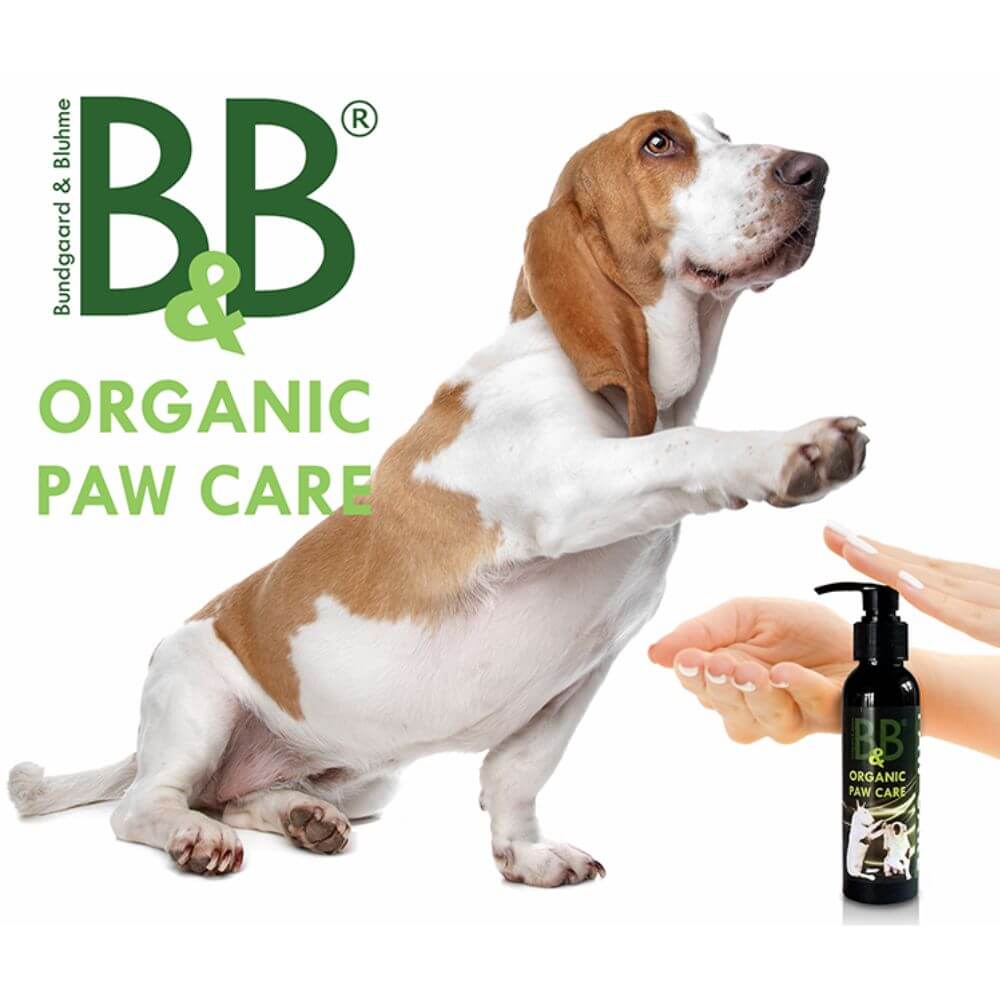Pfotenpflege Paw Care für Hunde von B&B 100 ml im Einsatz mit Hund