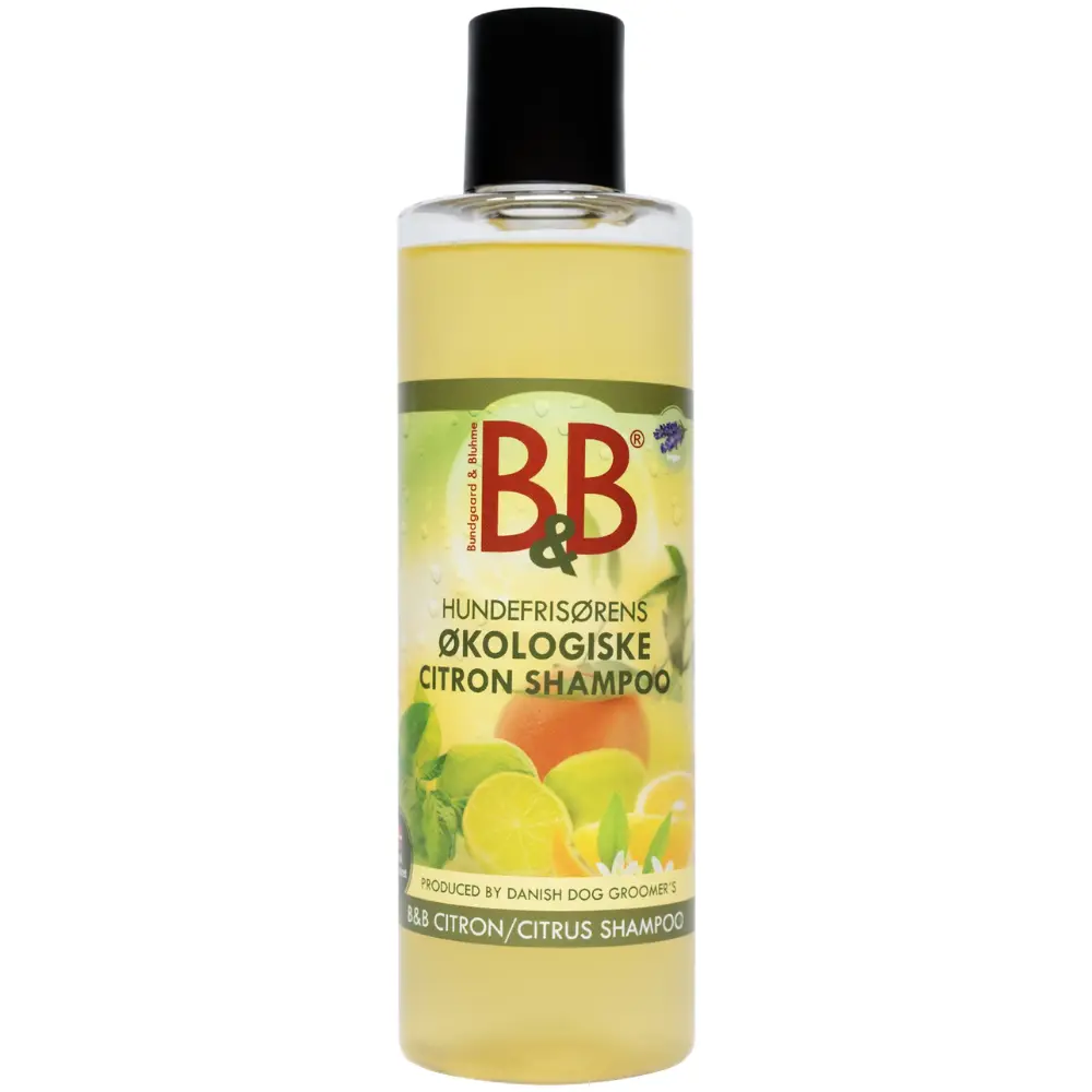 Hundeshampoo Citrus von B&B 250 ml