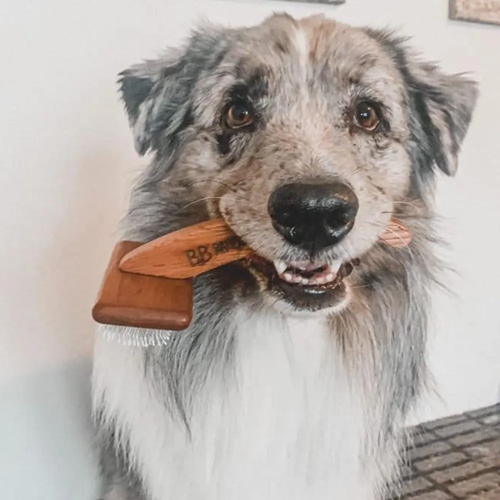 B&B Økologisk Ergonomische Hundebürste mit großem Hund