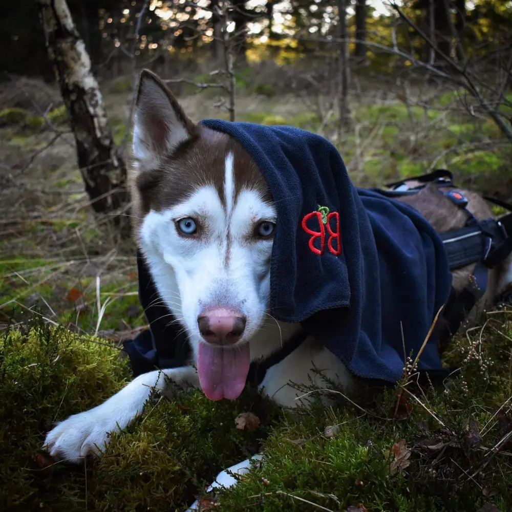 Hundehandtuch anthrazit mit Husky