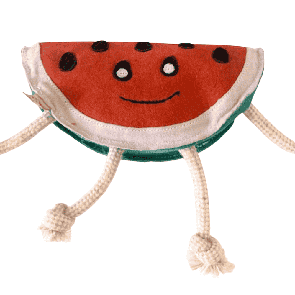 Nachhaltiges Hundespielzeug Mone Melone