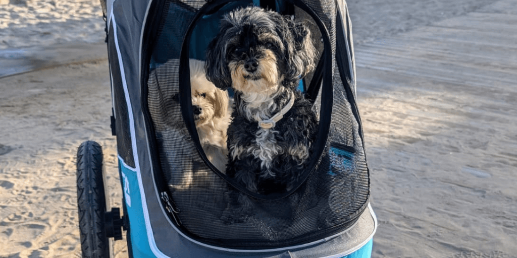 Hundebuggy im Hundeshop kaufen Hundebuggy Premium Cozy für kleine Hunde mit Frauchen