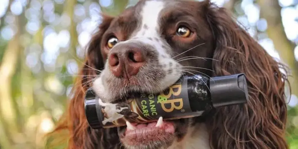 Pflegeprodukte für Hunde aus Dänemark