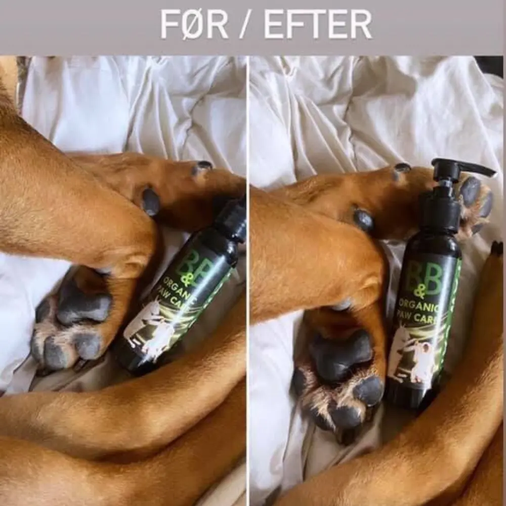 B&B Paw Care Pfotenpflege Hund - Vorher - Nachher