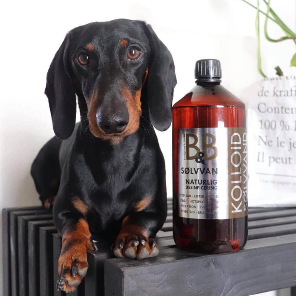 Silberwasser Sølvvand zur natürlichen Desinfektion