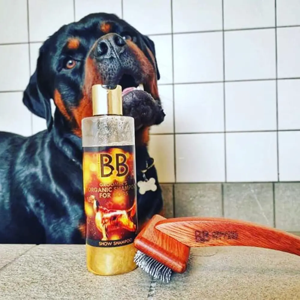 B&B Hundebürste mit Rottweiler im Einsatz